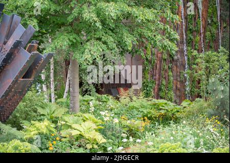 Royal Hospital, Chelsea, London, Großbritannien. 23 Mai 2022. Die RHS Chelsea Flower Show öffnet sich der Presse. Show Garden 320, Medite Smartply Building the Future Garden Entworfen von Sarah Eberle, ein stimmungsvoller Waldgarten mit nachhaltigen Holzpaneelprodukten. Quelle: Malcolm Park/Alamy Live News Stockfoto