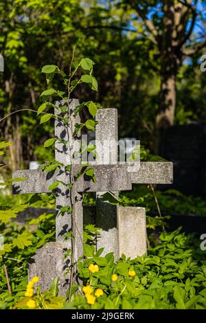 Grabstein in Form eines Steinkreuzes auf dem Friedhof. Hochwertige Fotos Stockfoto