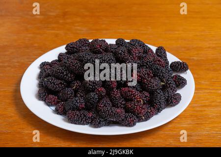 Frisch geerntete Maulbeeren auf einem weißen Teller Stockfoto