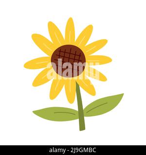 Niedliche gelbe Sonnenblume mit Blättern isoliert auf weißem Hintergrund. Vektorgrafik in handgezeichneter, flacher Form. Perfekt für Karten, Logo, Dekorationen, Frühjahr und Sommer Designs. Botanischer Clipart. Stock Vektor