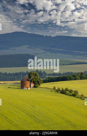 Windmühle in Chvalkovice, Südmähren, Tschechische Republik Stockfoto