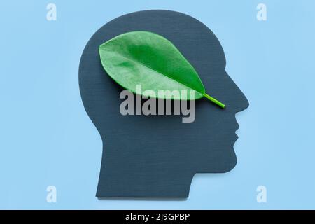 Kopfform und grünes Blatt. Konzept des Umweltschutzes. Stockfoto