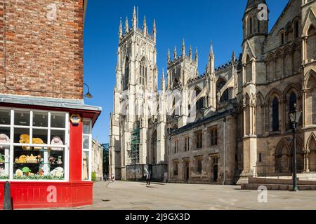Morgen im York Minster, North Yorkshire, England. Stockfoto
