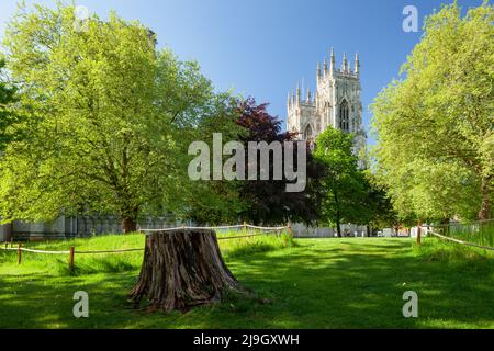 Frühlingsmorgen im Dean's Park in York, North Yorkshire, England. Stockfoto