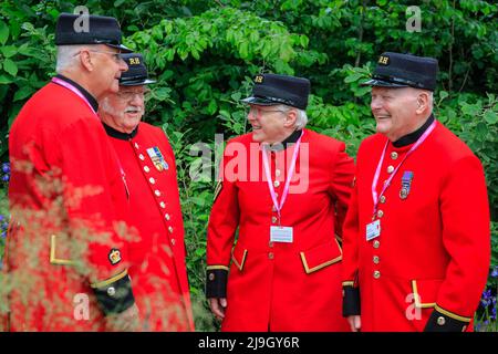 Chelsea, London, Großbritannien. 23.. Mai 2022. Chelsea Rentner unterhalten sich in einem der Gärten. Der Chelsea Flower Show Press Day sieht eine Vorschau der Show vor, die in das Royal Hospital Chelsea zurückkehrt und dieses Jahr vom 24. Bis 28. Mai stattfindet. Kredit: Imageplotter/Alamy Live Nachrichten Stockfoto