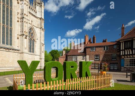 Frühlingsmorgen auf dem Minster Yard in York, North Yorkshire, England. Stockfoto