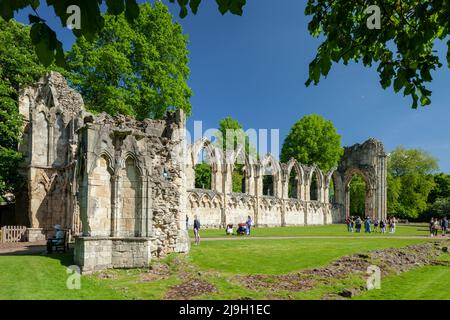 Frühlingsmorgen in den Ruinen der St. Mary's Abbey in York, North Yorkshire, England. Stockfoto