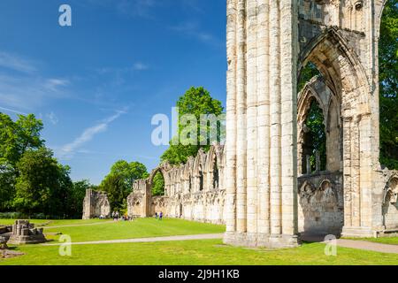 Frühlingsmorgen in der St. Mary's Abbey in York, England. Stockfoto