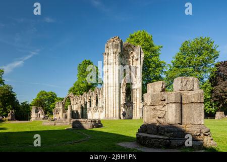 Frühlingsmorgen in den Ruinen der St. Mary's Abbey in York, North Yorkshire, England. Stockfoto