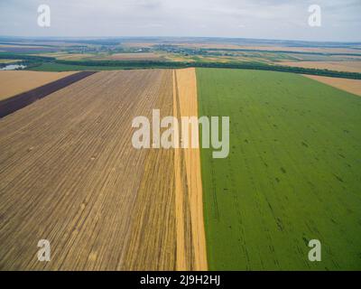 Ernte auf dem Feld. Luftaufnahme. Viel Land Stockfoto