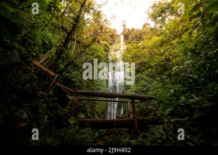 Wasserfalllandschaft und Holzbrücke in der kolumbianischen Kafferegion Stockfoto