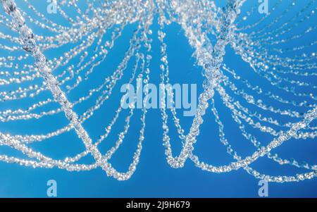 Wasserstrahlen auf blauem Hintergrund. Eingefrorener Moment Stockfoto