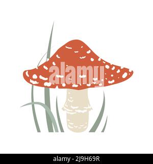 Niedliche Fliege Agaric im Gras, Wald giftigen Pilz. Cartoon-Vektorgrafik. Stock Vektor