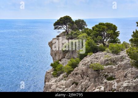 Am Calanque Port Pin bei Cassis an der Côte d'Azur in der Provence, Frankreich, Europa Stockfoto