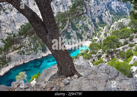 Blick auf die Calanque d'en-Vau bei Cassis an der französischen Riviera in der Provence, Frankreich, Europa Stockfoto