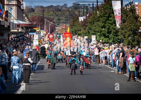 Farbenfrohe Straßenparade zur Feier der Eröffnung des Glen Innes Celtic Festival, NSW Australien Stockfoto