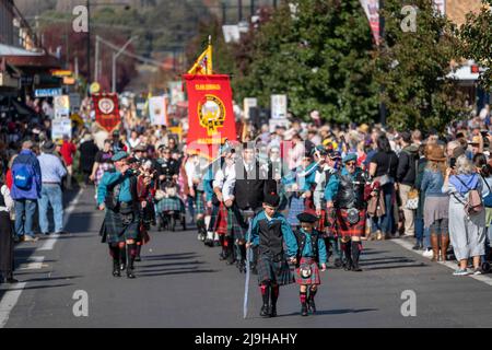 Farbenfrohe Straßenparade zur Feier der Eröffnung des Glen Innes Celtic Festival, NSW Australien Stockfoto