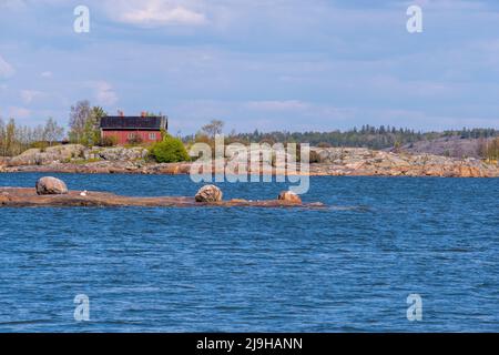 Helsinki / Finnland - 23. MAI 2022: Ein altes rotes Holzhaus auf einer felsigen Insel. Ein kleiner Skerry und ein Schwan im Vordergrund Stockfoto