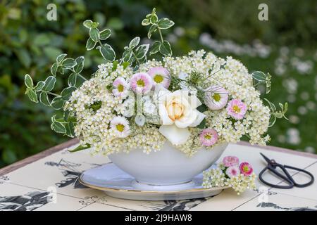 Bouquet von weißen Rosen, firethorn Blumen und bellis perennis in Vintage-Sauce Boot Stockfoto