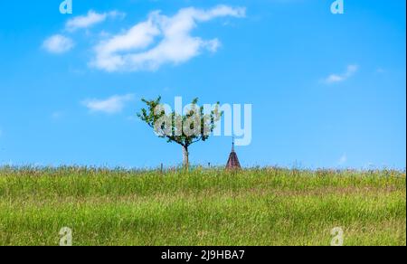 Ein einsamer Baum auf einem Hügel, mit der Spitze des Kirchturms im Hintergrund. Stockfoto
