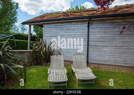 Nahaufnahme von zwei Liegestühlen im Garten in der Nähe eines Pools an einem warmen Sommertag Stockfoto