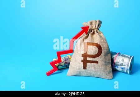 Russischer Rubel Geldbeutel und roter Pfeil nach oben. Wirtschaftswachstum, BIP. Erhöhung der Einzahlungsrate. Steigerung von Einkommen und Geschäftseffizienz. Inflation Accel Stockfoto