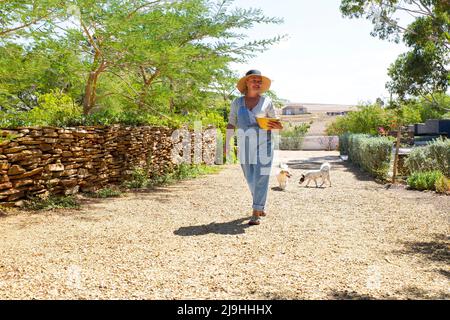 Frau mit Hunden, die auf dem Weg im Garten spazieren geht Stockfoto