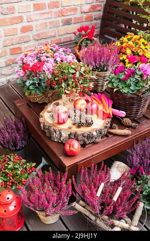 Balkonarrangements von verschiedenen Herbst- und Winterblumen, Äpfeln und Pinienzapfen Stockfoto