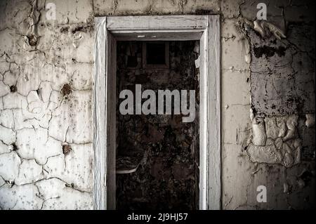 Dokumentation von Fairmile Asylum, Wallingford 2011, bevor die Bauarbeiten begannen. Stockfoto