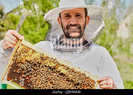 Lächelnder Imker in Schutzanzug mit Wabenrahmen Stockfoto