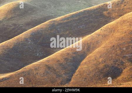 Sonnenuntergang helle California Golden Hills. Mission Peak Regional Preserve, Alameda County, Kalifornien, USA. Stockfoto