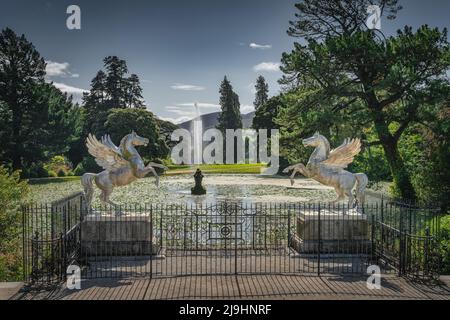 Zwei pegasus-Statuen und ein Brunnen im Teich, der mit Seerosen bedeckt ist, Powerscourt-Gärten, Enniskerry, Wicklow, Irland Stockfoto