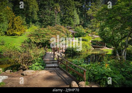 Japanischer Garten mit Teichen, Fußwegen, kleinen Holzbrücken und üppiger grüner Vegetation in Powerscourt Gardens, Enniskerry, Wicklow, Irland Stockfoto