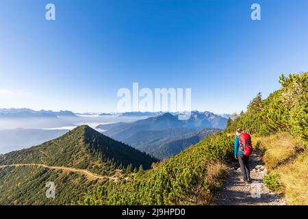 Deutschland, Bayern, weibliche Wanderer machen Halt, um das neblige Tal in den bayerischen Voralpen zu bewundern Stockfoto