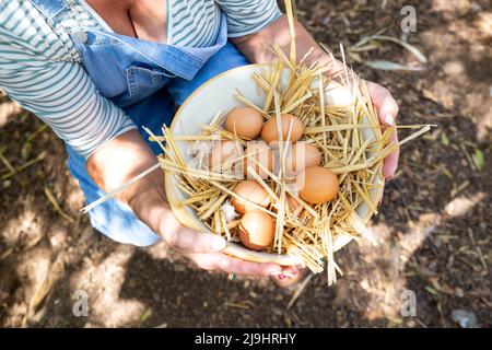 Reifer Bauer mit Schüssel Hühnereier auf Geflügelfarm Stockfoto
