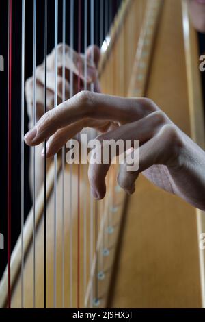 Hände reifer Musiker, die Harfe spielen Stockfoto