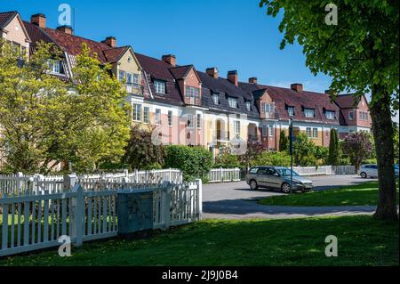 Gemeine Flieder blüht Ende Mai 2022 in Norrköping, Schweden, im Garten von Reihenhäusern im englischen Stil auf den Södra Promenaden. Stockfoto