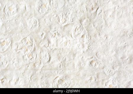 Beige Teigblatt Textur von armenischem Lavaschbrot, natürlicher Hintergrund. Stockfoto