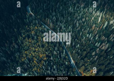 Luftaufnahme der kurvigen Straße, die durch den grünen Wald führt, Draufsicht Stockfoto