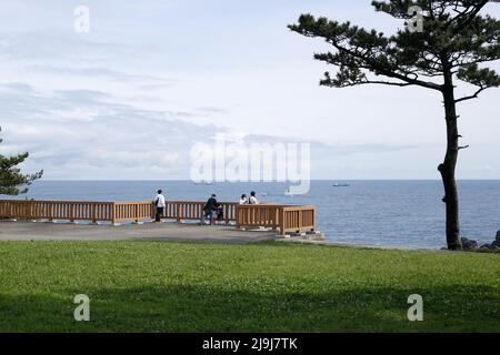 Shionomisaki, Kushimoto, Higashimuro District, Wakayama, Japan, 2022/01/05 , Ein großer Rasen von etwa 100.000 m2 breitet sich an der Spitze des Shionomisaki, Stockfoto