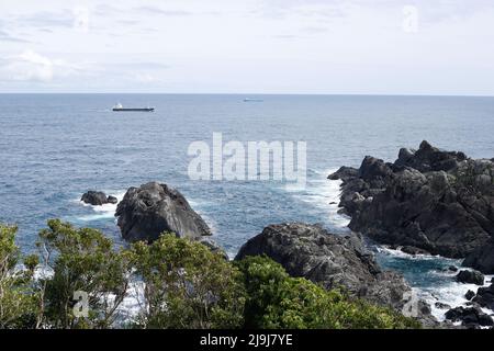 Shionomisaki, Kushimoto, Higashimuro District, Wakayama, Japan, 2022/01/05 , Ein großer Rasen von etwa 100.000 m2 breitet sich an der Spitze des Shionomisaki, Stockfoto