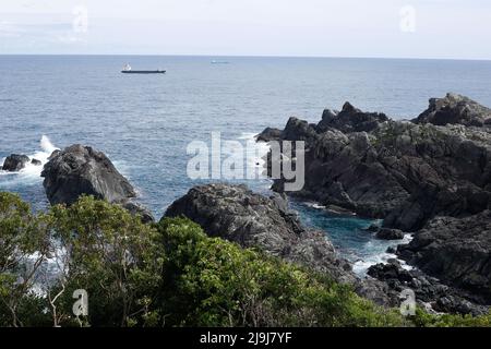 Shionomisaki, Kushimoto, Higashimuro District, Wakayama, Japan, 2022/01/05 , Ein großer Rasen von etwa 100.000 m2 breitet sich an der Spitze des Shionomisaki, Stockfoto