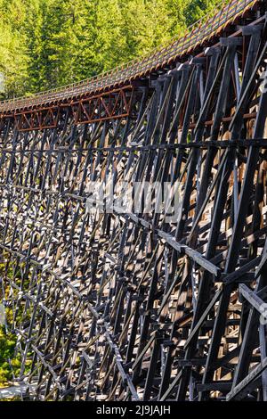 Blick auf die hölzerne Eisenbahnbrücke Kinsol Trestle in Vancouver Island, BC Kanada. Reisefoto, niemand, selektiver Fokus Stockfoto