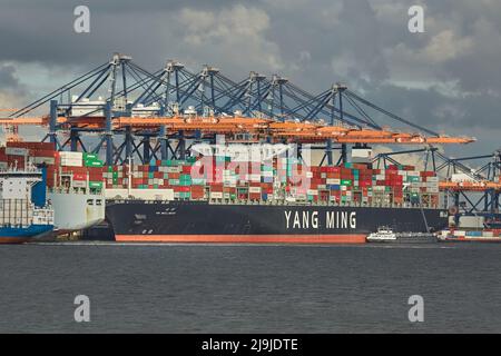 Behälter, die auf ein Schiff geladen Stockfoto