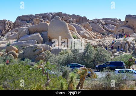 „Skull Rock“, Ein Wahrzeichen im Joshua Tree National Park, wird von Touristen auf den einzigartig angelegten Felsbrocken in der Mojave-Wüste, CA, bestiegen Stockfoto