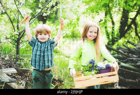 Kinder, die in einer Freiwilligengruppe arbeiten. Kindheit auf dem Land. Kinderbauernkonzept. Glückliche Kinder Bauern arbeiten mit Spud auf dem Frühlingsfeld. Stockfoto