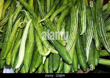 Frischer und gesunder Snake Gourd Vorrat im Laden Stockfoto