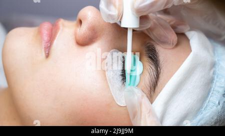 Junge Frau, die Wimpern färbt und laminiert. Stockfoto