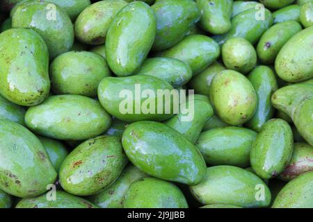 Grüne rohe Mangobestände zum Verkauf Stockfoto