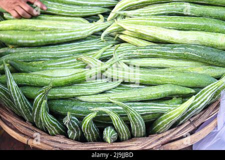 Frischer und gesunder Snake Gourd Vorrat im Laden Stockfoto